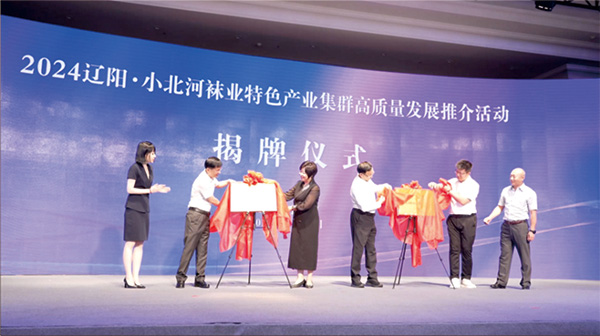 小北河镇袜业产业闪耀升级,共绘“中国袜业名镇”新篇章